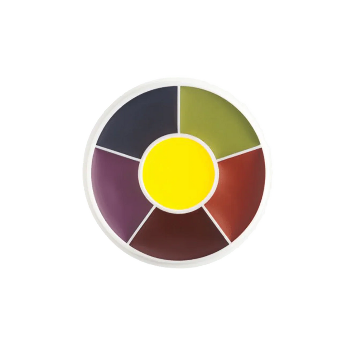 Professional FX Color Wheel EW-4 Master Bruise
