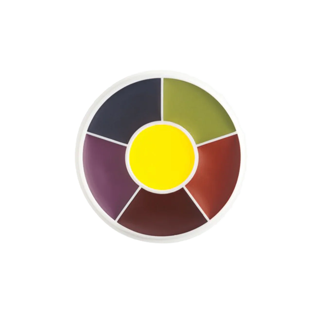 Professional FX Color Wheel EW-4 Master Bruise